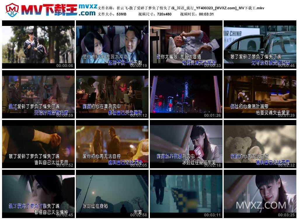 崔云飞-散了爱碎了梦负了情失了魂_国语_流行_YF400323